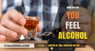 How Quickly Do You Feel Alcohol's Effects? Factors and Insights