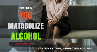 Understanding Alcohol Metabolism: How Quickly Does Your Body Process Drinks?