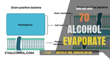 How Quickly Does 70% Alcohol Evaporate? A Detailed Guide