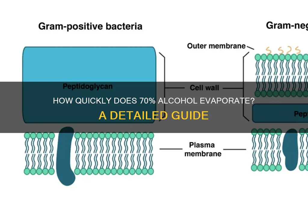 how fast does 70 alcohol evaporate