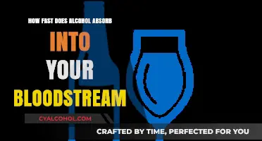 How Quickly Does Alcohol Enter Your Bloodstream? Absorption Explained