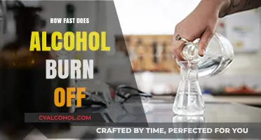 How Fast Does Alcohol Burn Off? Metabolism Explained