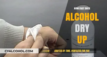 How Fast Does Alcohol Dry Up: Quick Evaporation Explained