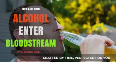 How Quickly Does Alcohol Enter Your Bloodstream? Explained