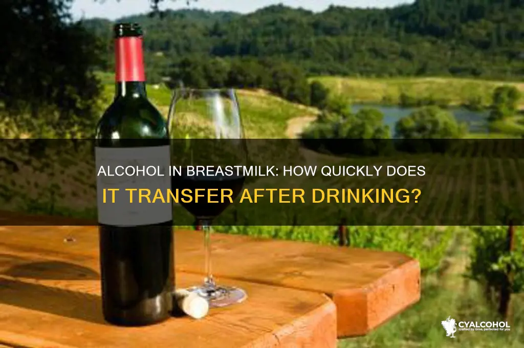 how fast does alcohol enter breastmilk