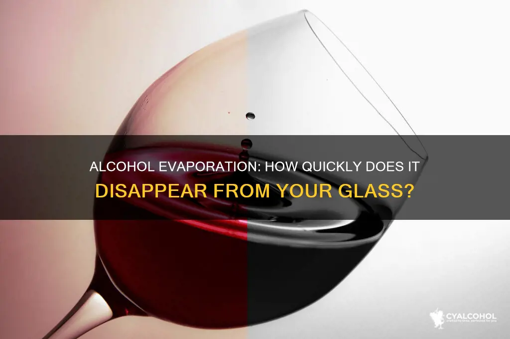 how fast does alcohol evaporate from a glass