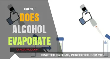 How Fast Does Alcohol Evaporate? A Quick Science Guide