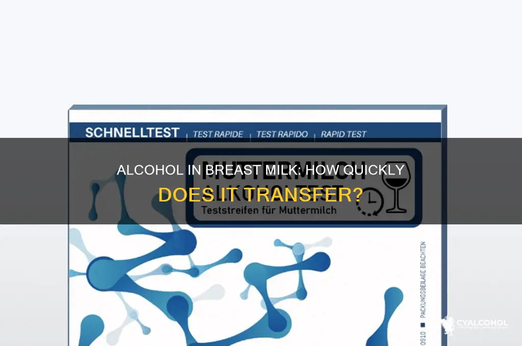 how fast does alcohol go to breast milk