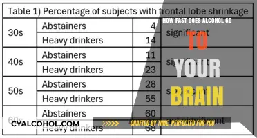 How Quickly Does Alcohol Reach Your Brain? The Science Explained