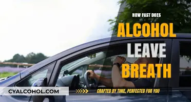 How Quickly Does Alcohol Disappear from Your Breath?