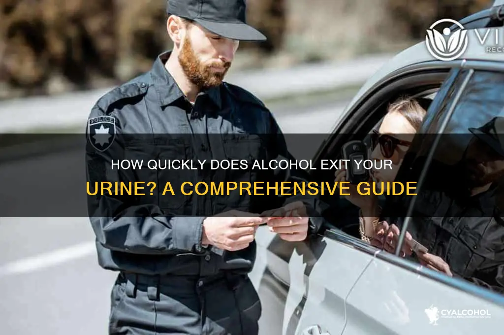 how fast does alcohol leave urine