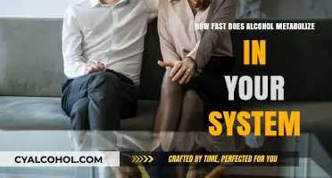 Alcohol Metabolism Rate: How Quickly Does Your Body Process Alcohol?