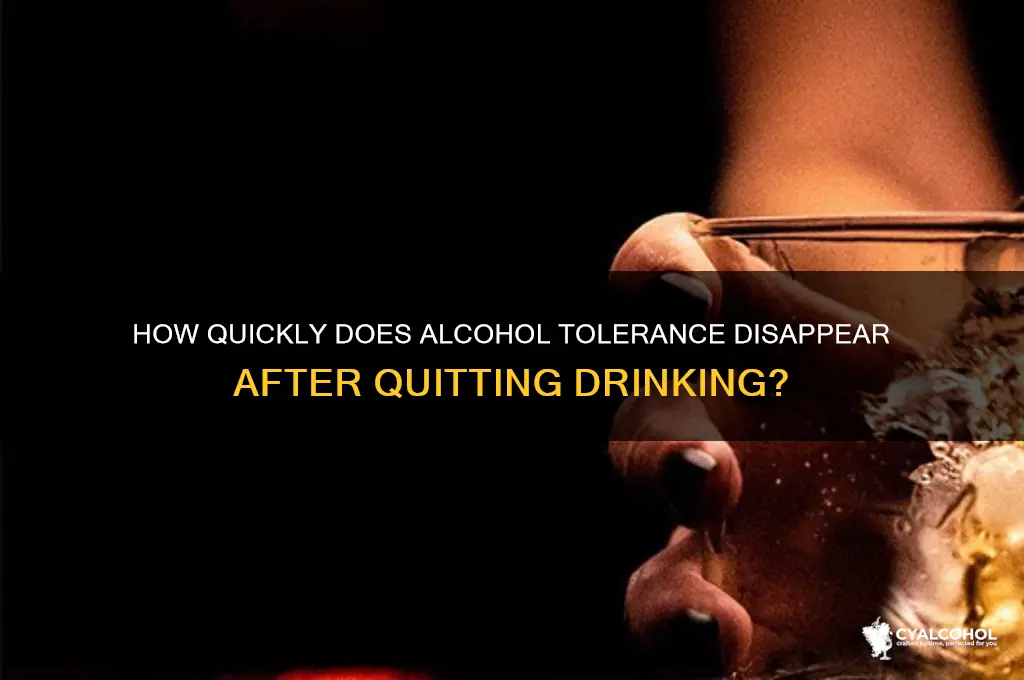 how fast does alcohol tolerance fade