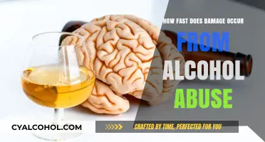 Alcohol Abuse: How Quickly Does Damage Occur to Your Body?