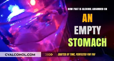 Alcohol Absorption: Empty Stomach, Fast Impact