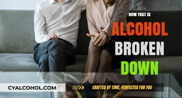 Understanding Alcohol Metabolism: How Fast is Alcohol Broken Down?