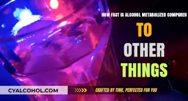 Alcohol Metabolism: Faster or Slower Than Other Substances?