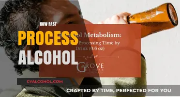 How Fast Does Your Body Process Alcohol? A Quick Guide