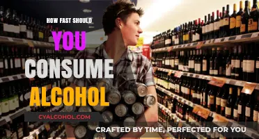 Safe Drinking Pace: How Fast Should You Consume Alcohol?