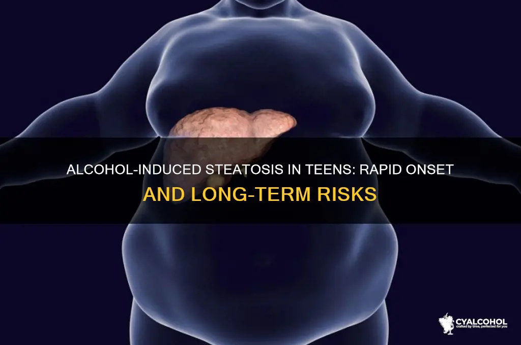 how fast steatosis alcohol on teen