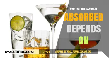 Factors Influencing Alcohol Absorption Rate: What Speeds Up the Process?
