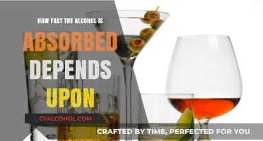 Factors Influencing Alcohol Absorption Rate: What Speeds Up the Process?