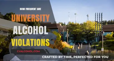 University Alcohol Violations: How Often Do They Occur on Campus?