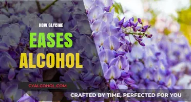 Glycine's Role in Alleviating Alcohol's Effects: A Natural Remedy