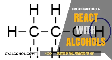 Grignard Reagents and Alcohols: Unraveling Their Unique Reaction Mechanisms