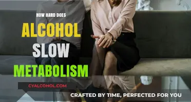 Alcohol's Impact: How Drinking Slows Your Metabolism and Why It Matters
