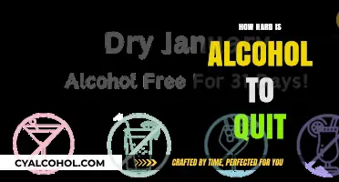 The Sober Struggle: Unraveling the Challenges of Quitting Alcohol