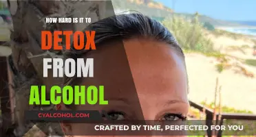 The Challenges of Alcohol Detox: A Journey to Sobriety