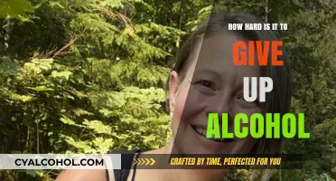 The Sober Struggle: Uncovering the Challenges of Quitting Alcohol