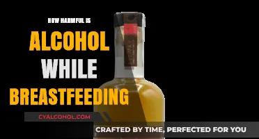 Breastfeeding and Alcohol: Understanding the Risks for Your Baby's Health