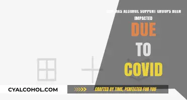 Alcohol Support Groups: Impact and Innovation Amid COVID