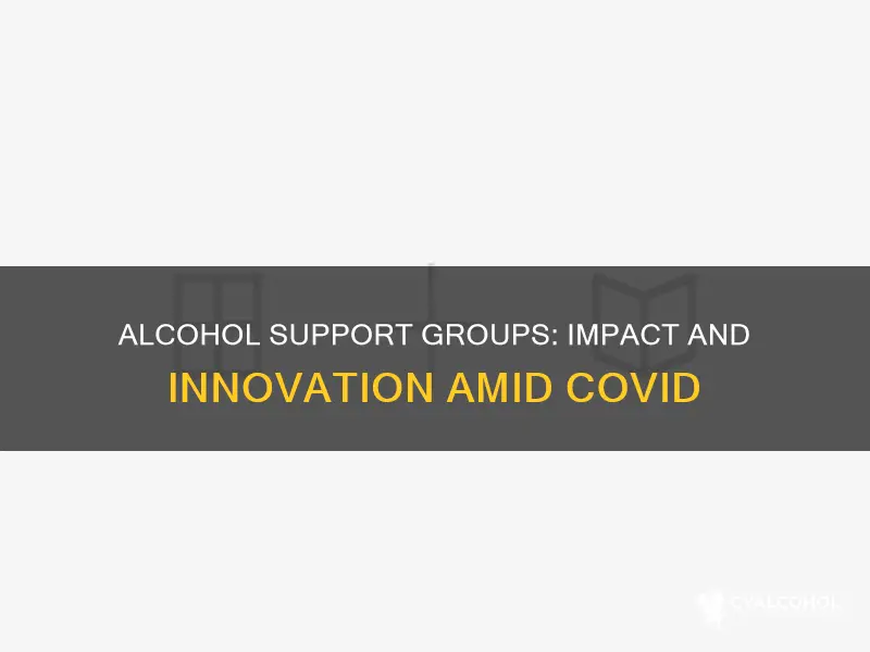 how has alcohol support groups been impacted due to covid
