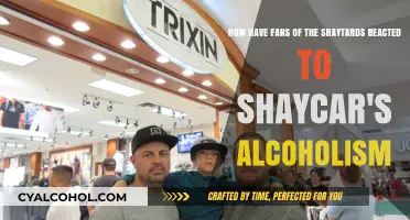 Shaycarl's Alcoholism: Fan Reactions to the Shaytards Scandal