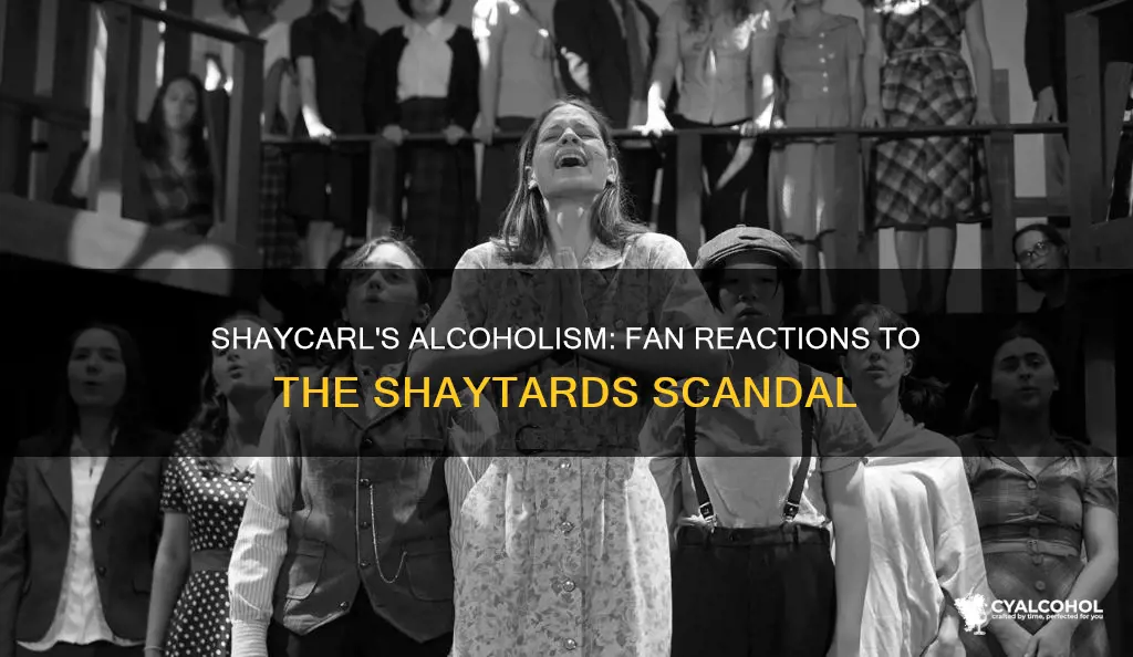 how have fans of the shaytards reacted to shaycar