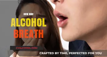 Effective Ways to Conceal Alcohol Breath in Social Situations