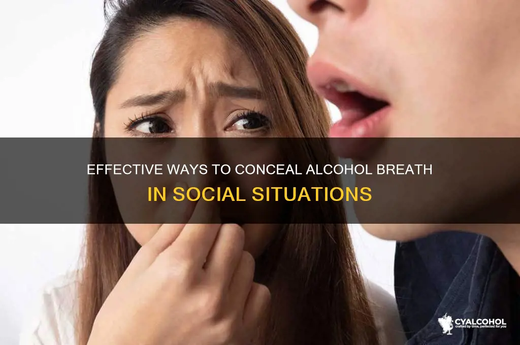 how hide alcohol breath
