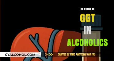 Elevated GGT Levels: A Key Indicator of Alcoholism and Liver Health
