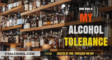 Understanding Your Alcohol Tolerance: Factors, Limits, and Safe Consumption Tips