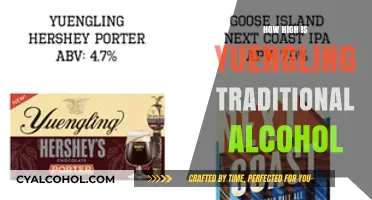 Yuengling Traditional Lager Alcohol Content: Unveiling the Classic Brew's ABV