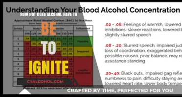 Alcohol Ignition: What's the Temperature Threshold?