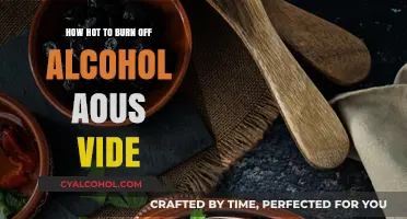 How Hot Does Sous Vide Need to Be to Burn Off Alcohol?
