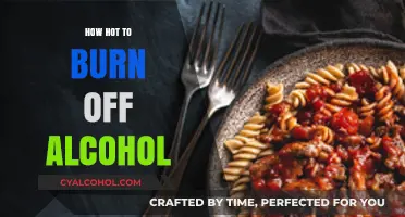 Burning Off Alcohol: Optimal Temperature for Effective Detoxification Process