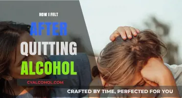 Sobriety's Clarity: My Emotional Journey After Quitting Alcohol