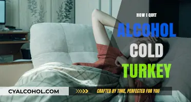 Sobriety Unfiltered: My Cold Turkey Journey to Quit Alcohol