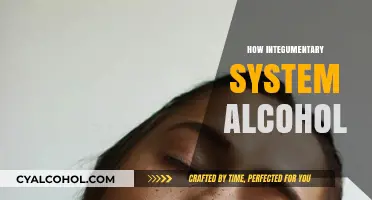 Alcohol's Impact on Skin: Understanding the Integumentary System's Response