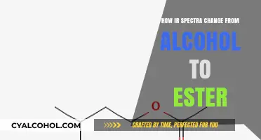 Alcohol to Ester Transformation: Understanding IR Spectra Changes